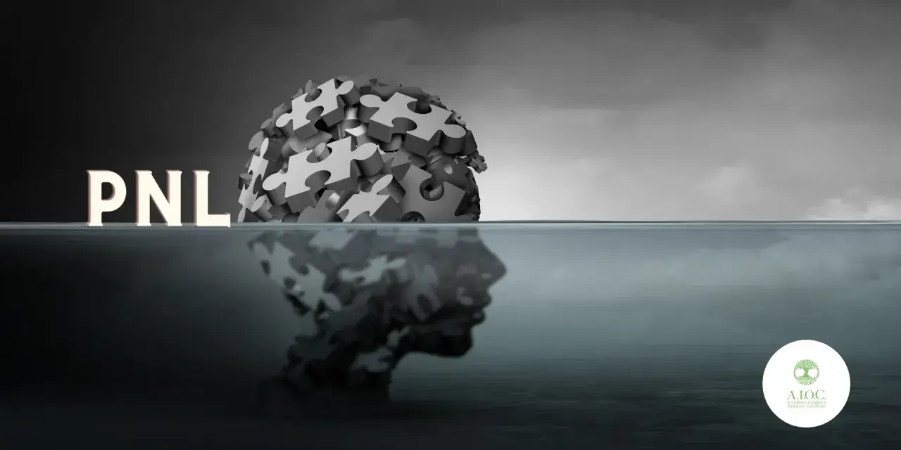PNL: la mente come puzzle, un viaggio nella programmazione neurolinguistica per ricomporre i pezzi del sé.