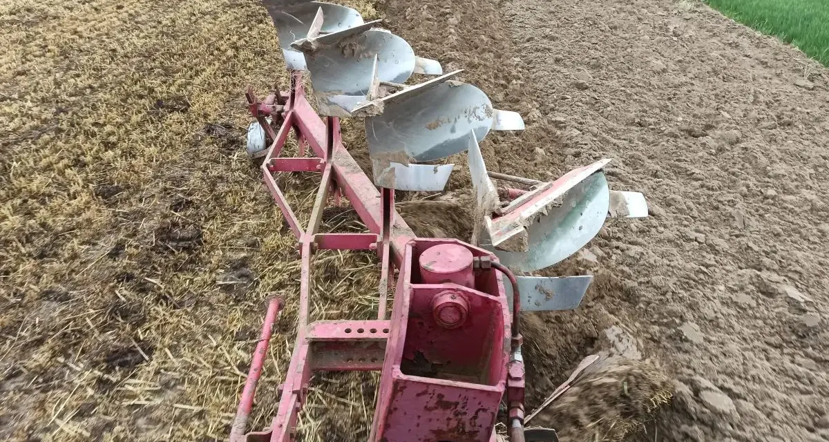 Czerwony pług z kilkoma lemieszami pracuje na polu, odwracając ziemię. Trwa regulacja pługa, przygotowując pole do siewu.