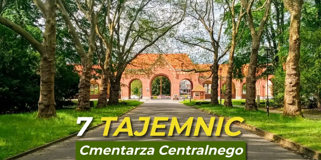 Ile hektarów ma cmentarz w Szczecinie? Poznaj jego ogromną powierzchnię
