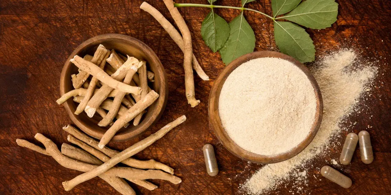 Racines d'Ashwagandha, poudre et gélules, une plante adaptogène aux multiples bienfaits.