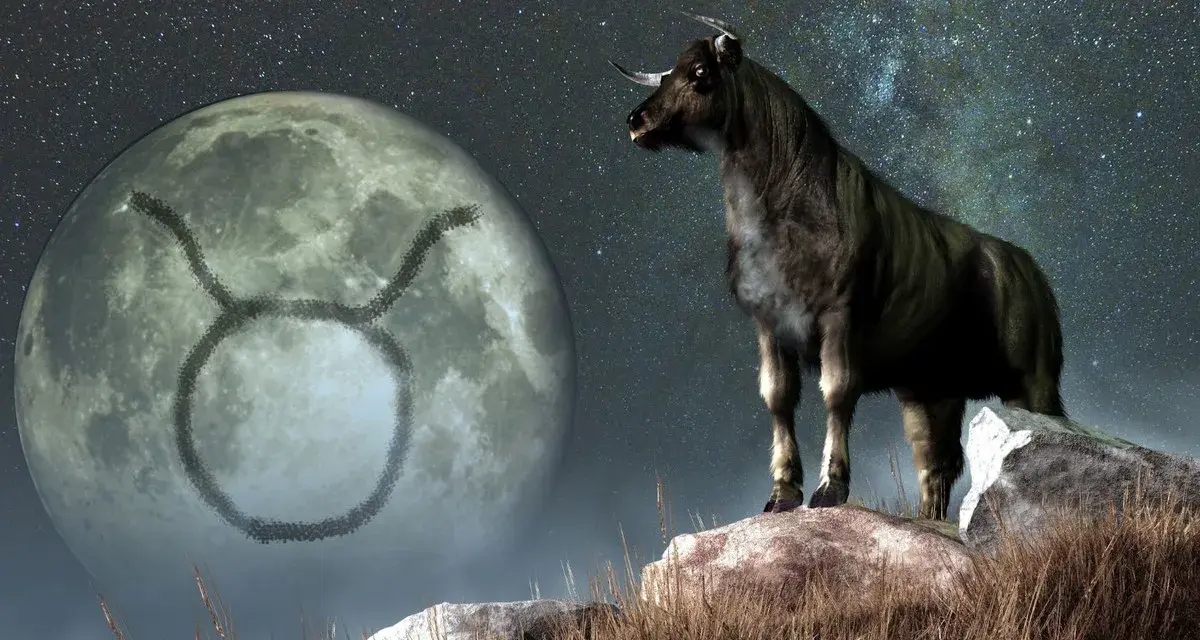 Byk na tle księżyca z symbolem zodiaku. Jego ascendent w byku zapowiada siłę i stabilność.