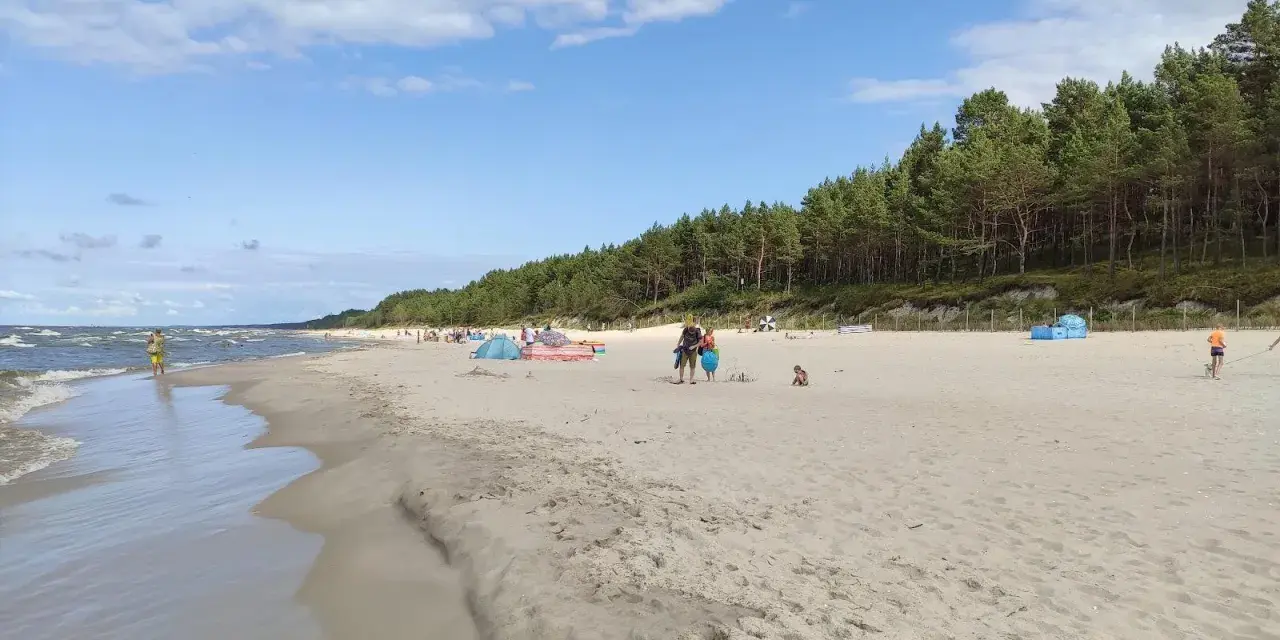 Słoneczny dzień na piaszczystej plaży, z lasem sosnowym w tle. Ludzie odpoczywają, bawią się i spacerują wzdłuż linii brzegowej. Idealne miejsce na relaks nad morzem.