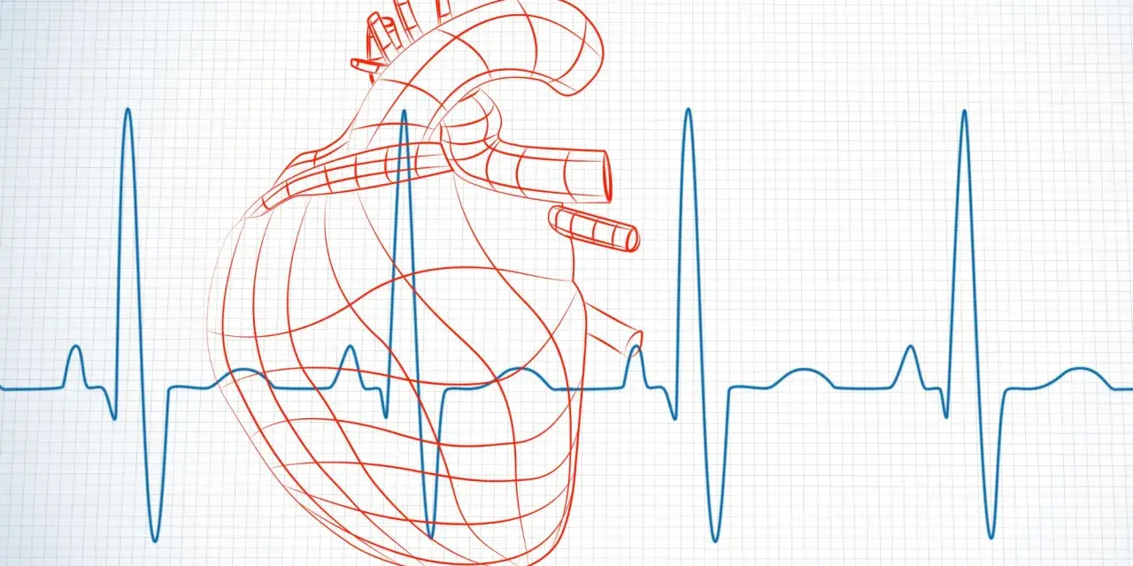 Czerwony, schematyczny zarys serca na tle wykresu EKG. Analiza HRV, czyli zmienności rytmu serca, pokazuje jego kondycję.