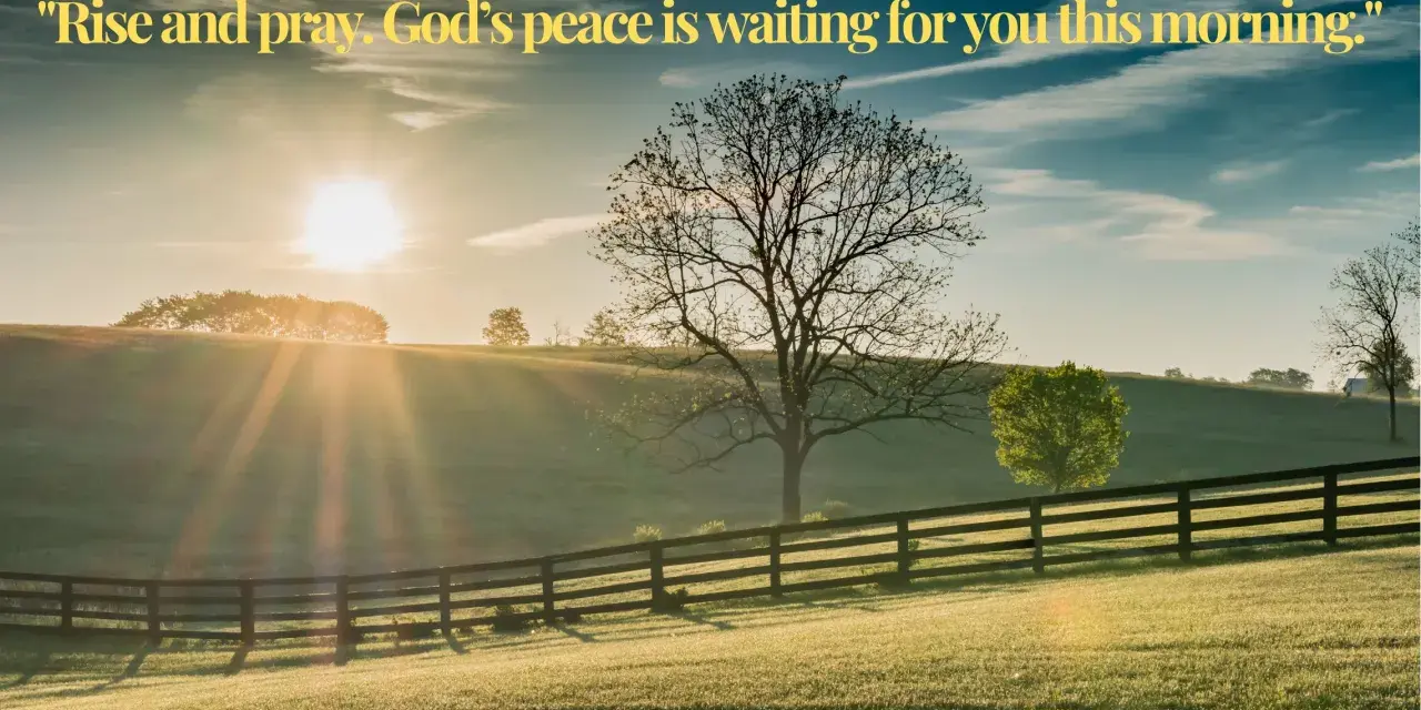 Sunrise over a grassy hill with a fence. The sun's rays shine through a bare tree, inviting the first prayer of the day.