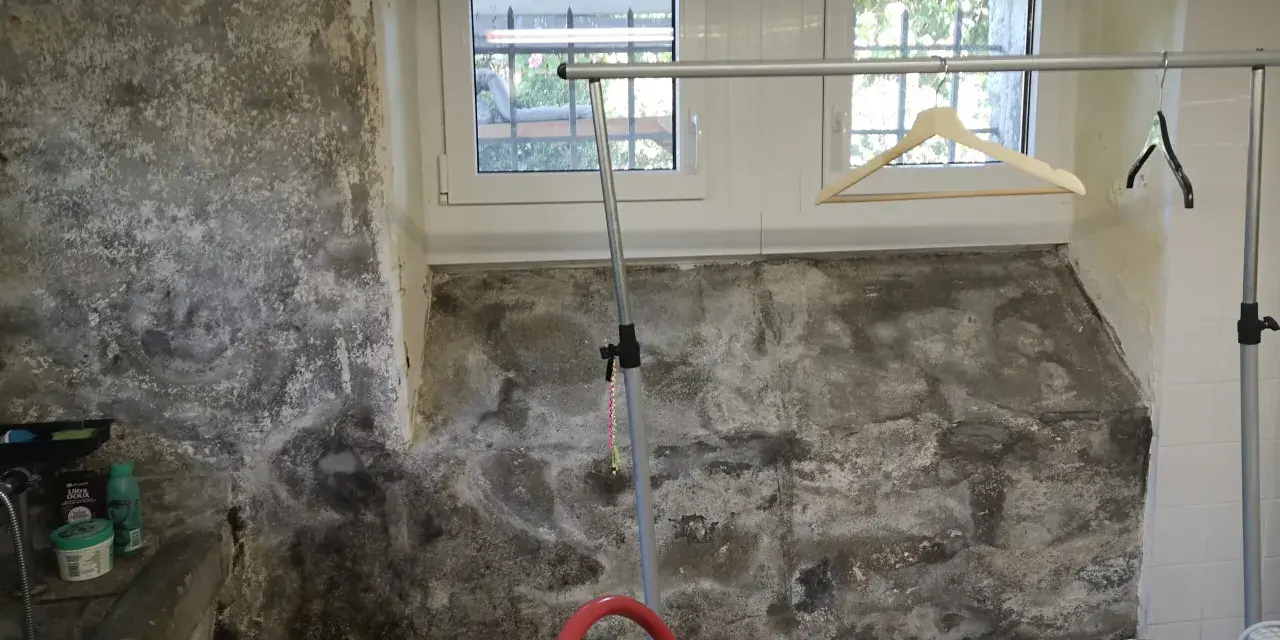 Feuchtigkeit im Keller selbst beseitigen: Schimmel und Salzausblühungen an der Wand erfordern Maßnahmen.