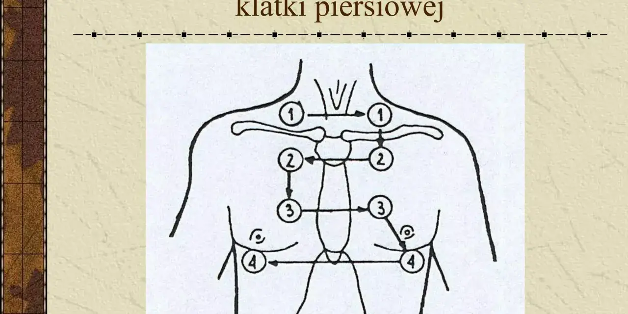 Schemat kolejności osłuchiwania płuc z przodu klatki piersiowej.