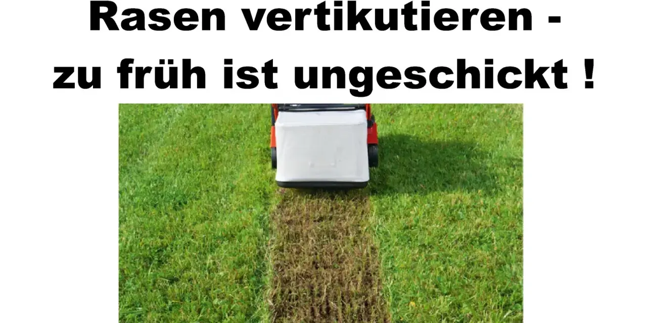 Rasen vertikutieren: Ein Rasenlüfter entfernt Moos und Unkraut. Zu früh ist ungeschickt!