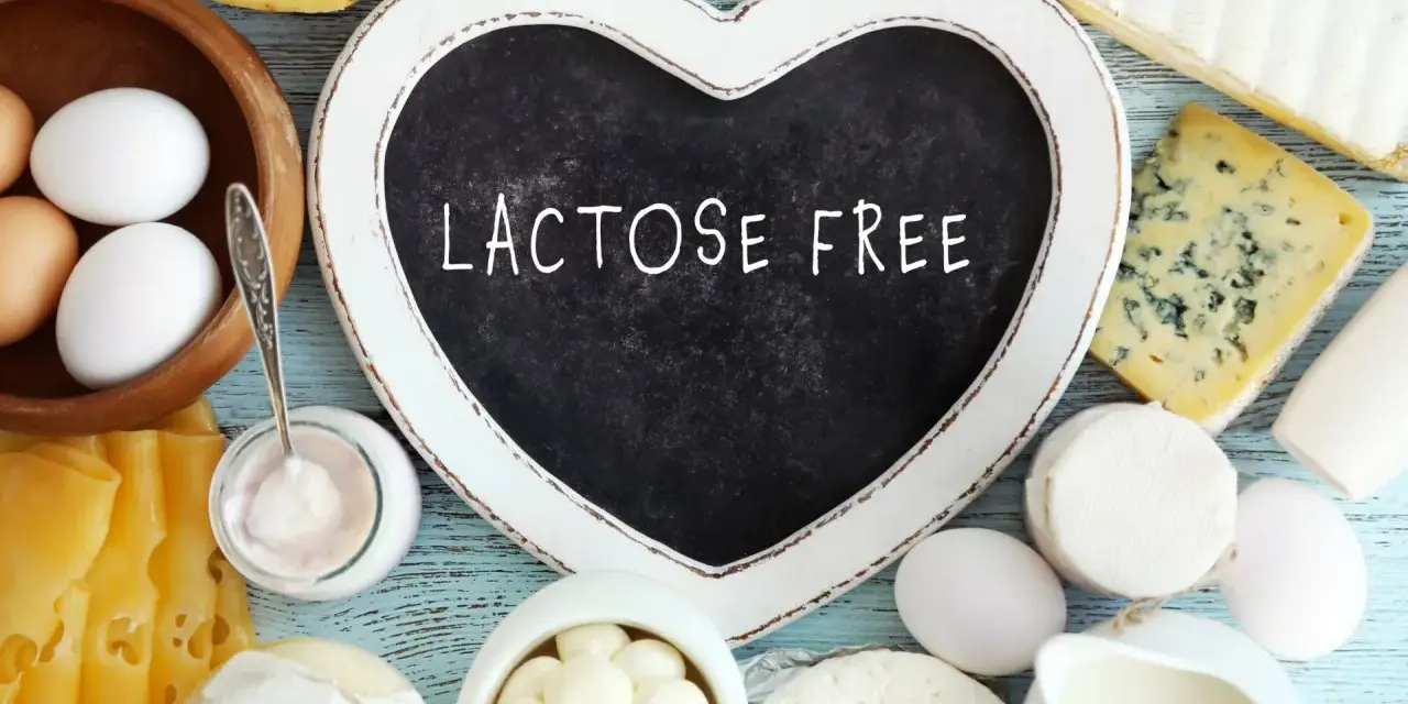 Assortiment de fromages, œufs et yaourt. Un cœur noir indique "LACTOSE FREE", parfait pour un fromage blanc sans lactose.