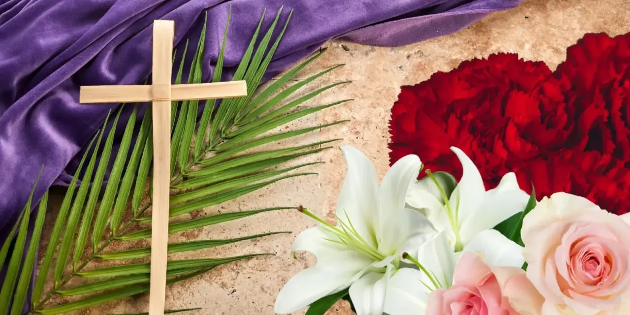 Cruz de palma, lirios blancos y rosas rosadas, con tela morada y flor de semana santa roja.