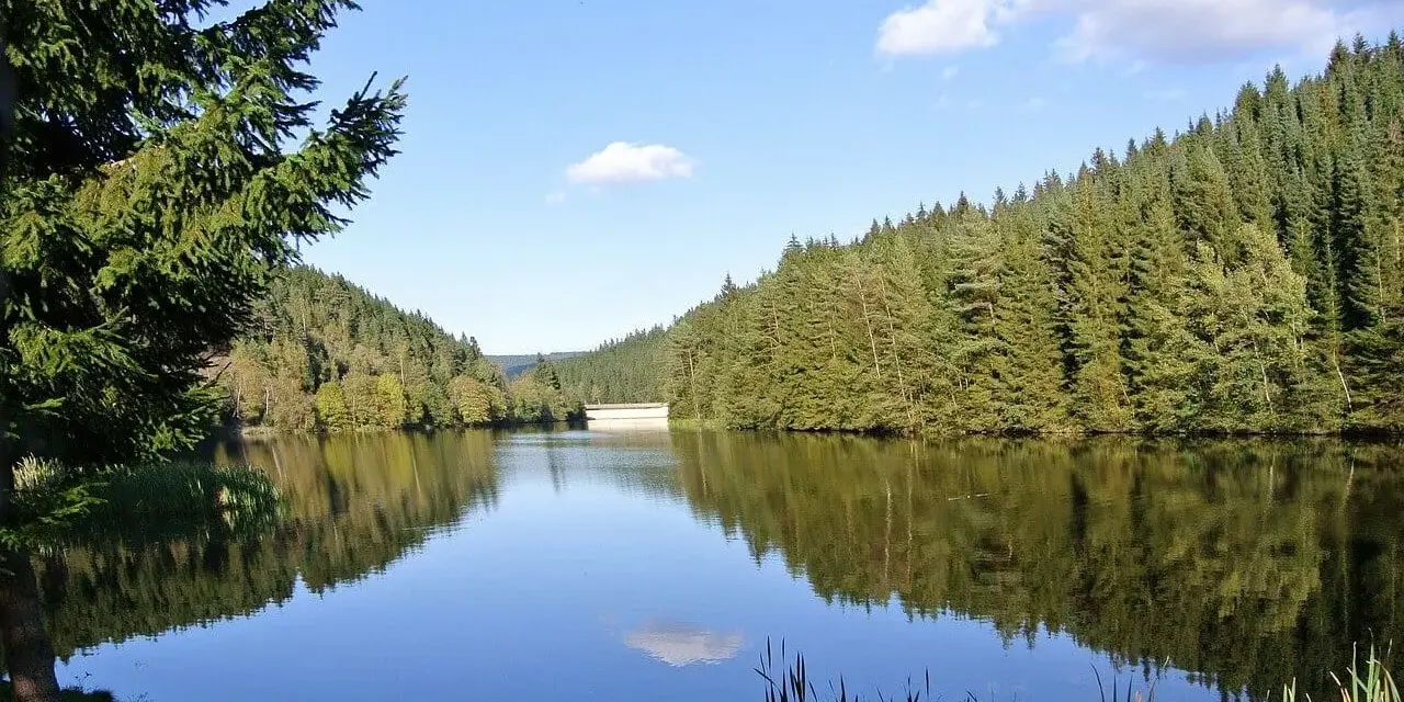 Idyllischer **Badesee Grotegaste** umgeben von dichten Wäldern, die sich im ruhigen Wasser spiegeln. Ein perfekter Ort für Erholung.