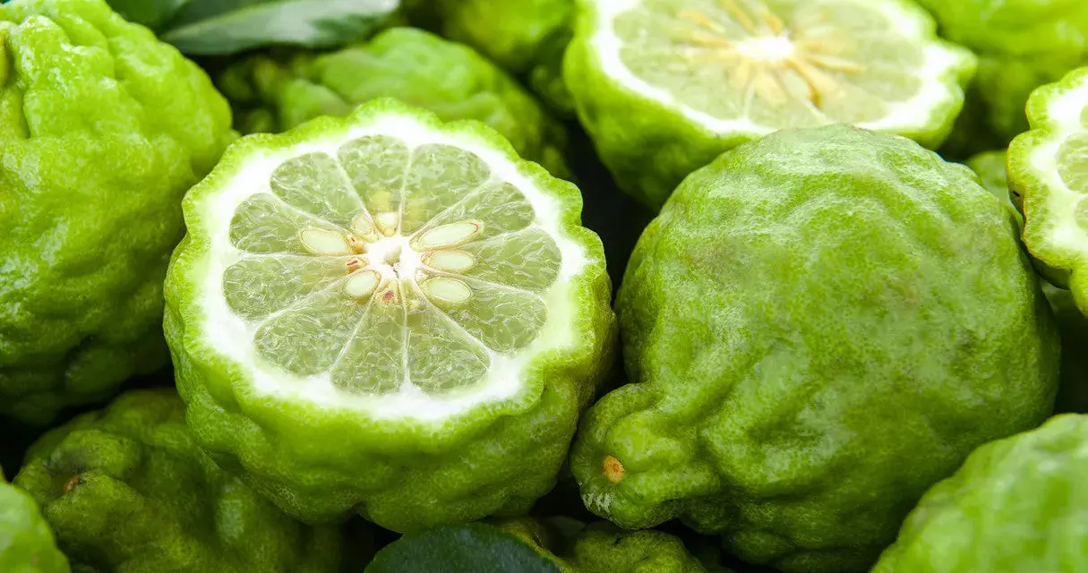Bergamota para que sirve: estos cítricos verdes, con su piel rugosa y pulpa jugosa, son ideales para infusiones y remedios naturales.