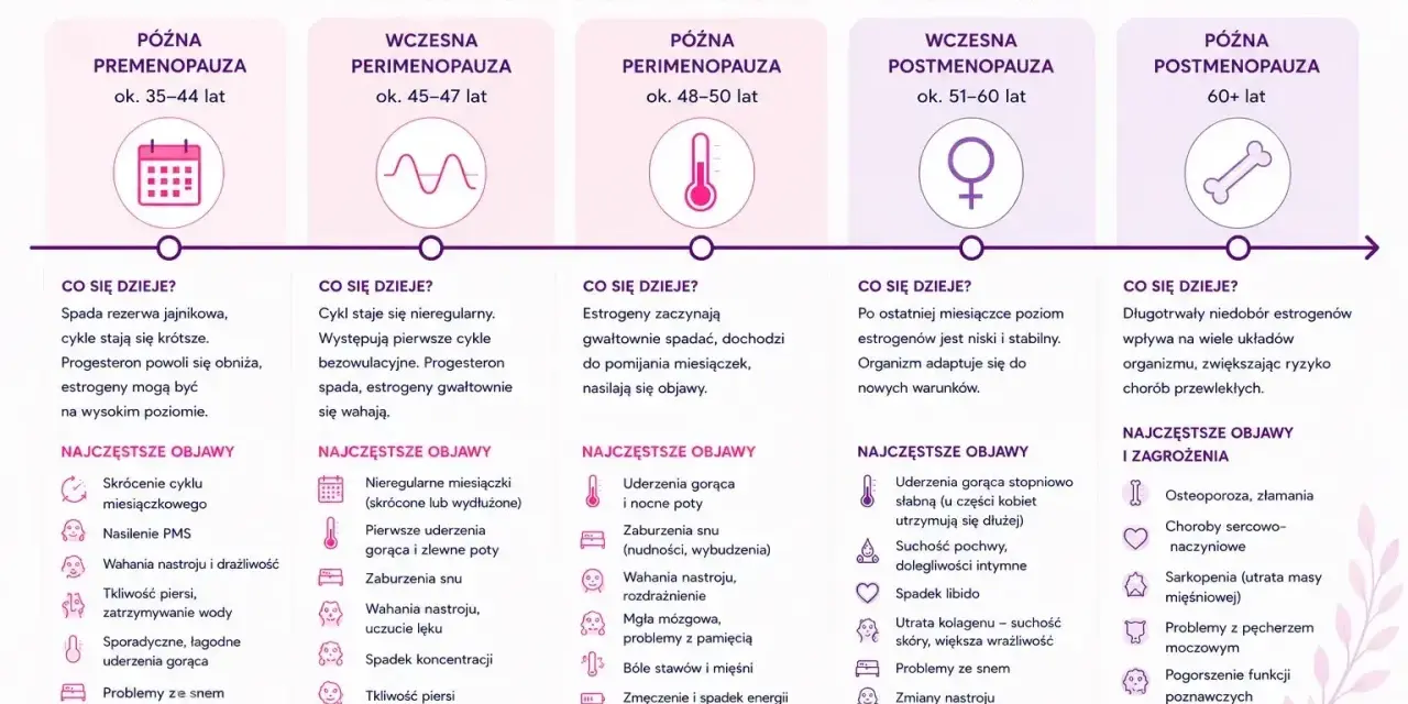 Przewodnik po etapach menopauzy: od premenopauzy do późnej postmenopauzy, opisujący zmiany i objawy. Dowiedz się, ile trwa menopauza i jak się zmienia.