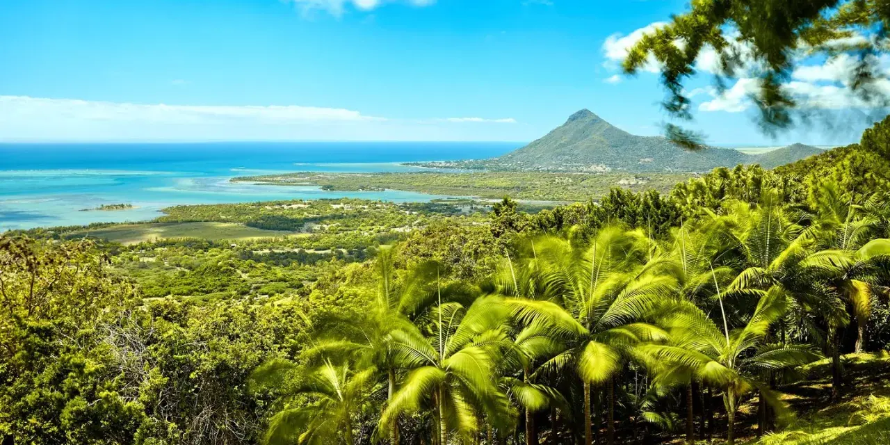 Rajski widok na Mauritius z palmami i górą Le Morne. Idealne miejsce na wakacje, sprawdź atrakcyjne ceny!