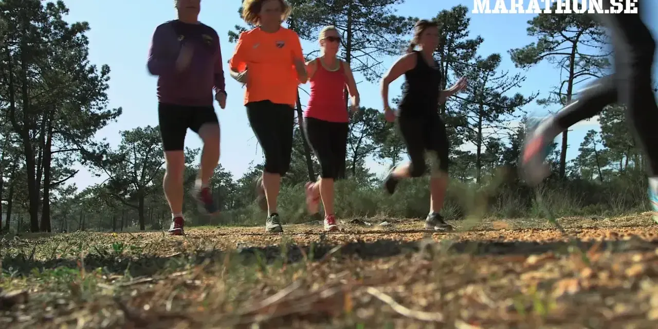 Fyra löpare i skogen. Frågan är hur ofta ska man springa för att nå sina mål? Marathon.se ger svaren.