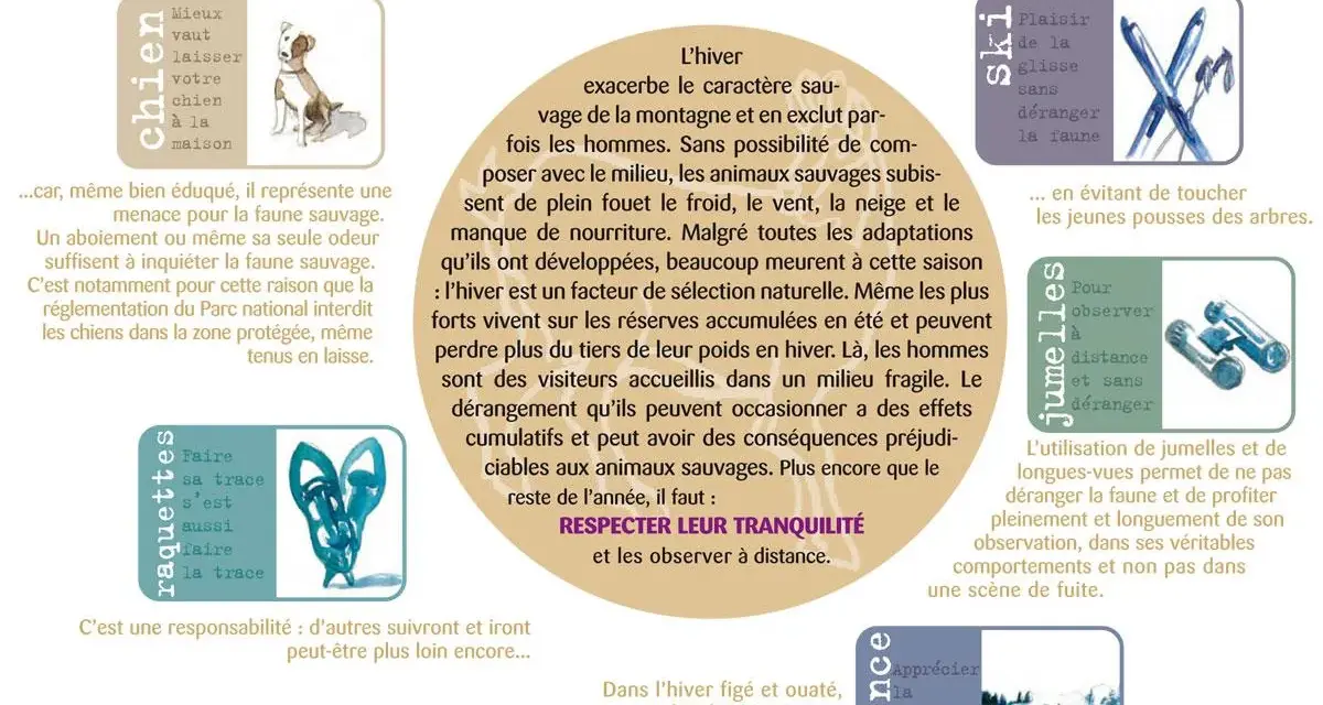 Conseils pour observer la faune en hiver. Ne pas déranger les animaux sauvages, même avec un chien. Respecter leur tranquillité.