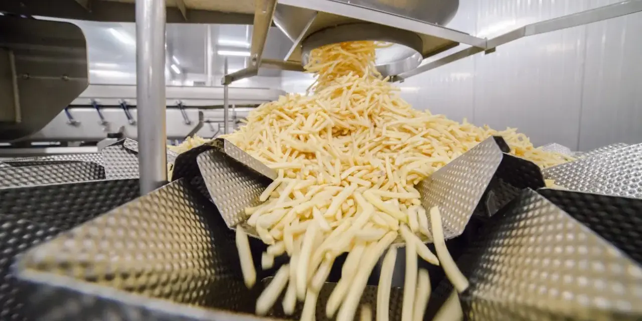 Frytki McDonald's w Polsce: Na czym są smażone? Wszystko jasne!