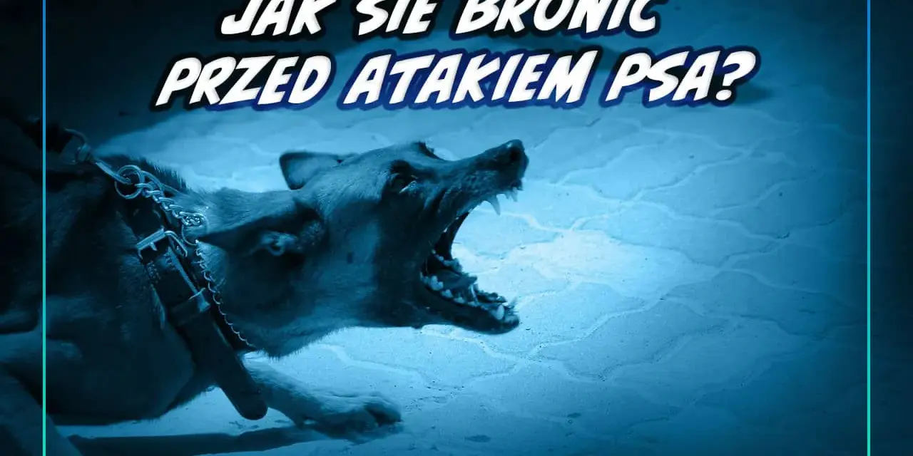 Jak bronić się przed psem? Unikaj ataku, działaj w kryzysie!