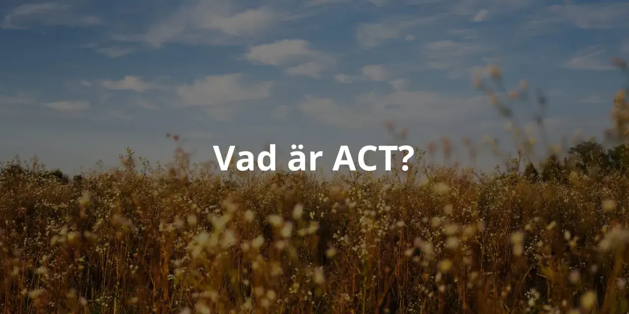 Texten "Vad är ACT?" visas över ett fält med högt gräs och blommor under en molnig himmel. ACT-metoden kan hjälpa dig att navigera i livet.