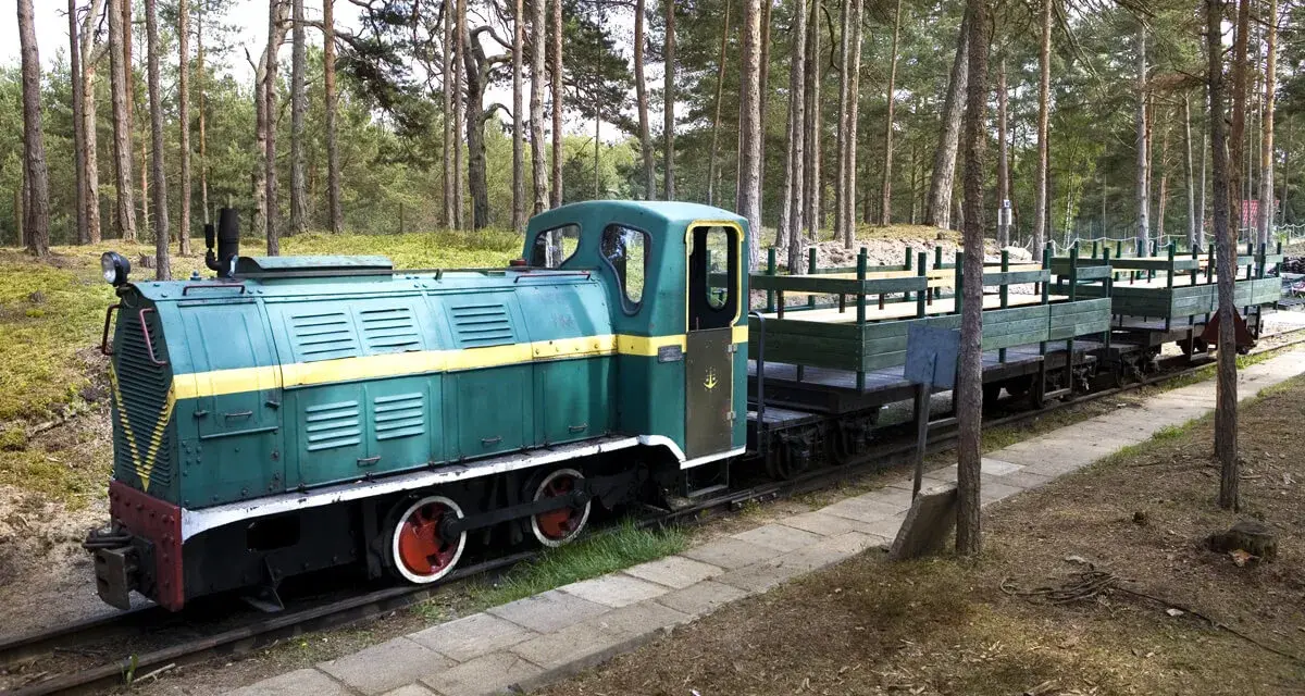 Zielona lokomotywa z żółtym pasem i wagonami na torach leśnych. Pociąg nawiązuje do historii muzeum obrony wybrzeża.