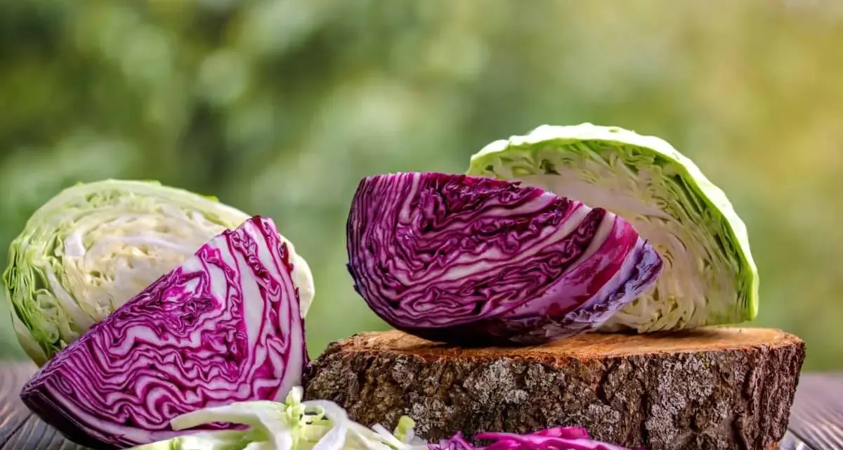 Cavolo cappuccio rosso e bianco tagliati a metà, con foglie sminuzzate.