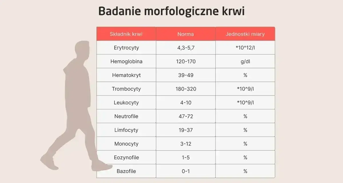 Tabela z badaniem morfologicznym krwi, pokazująca normy dla różnych składników, w tym neutrofili. Niska liczba neutrofili może wskazywać na neutropenię.