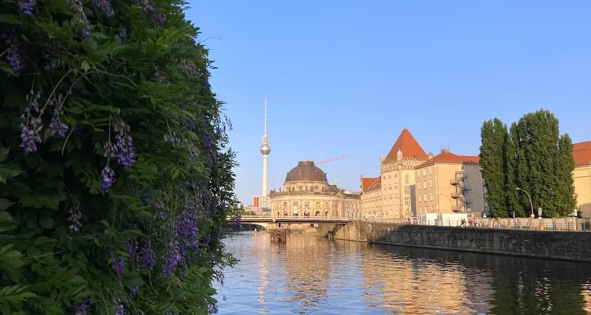 Ein sonniger Sonntag in Berlin. Lila Glyzinien ranken sich vor der Spree, im Hintergrund der Fernsehturm und historische Gebäude.
