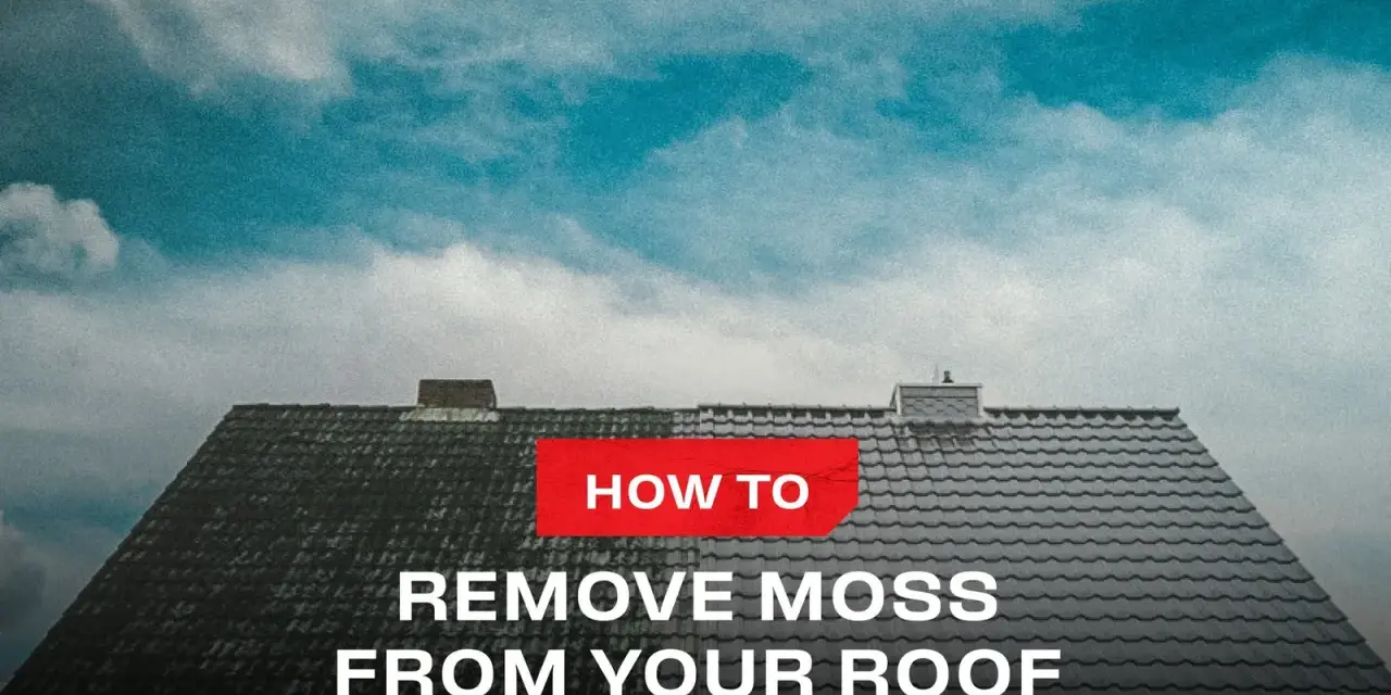 A split roof shows the difference before and after learning how to remove moss from your roof.