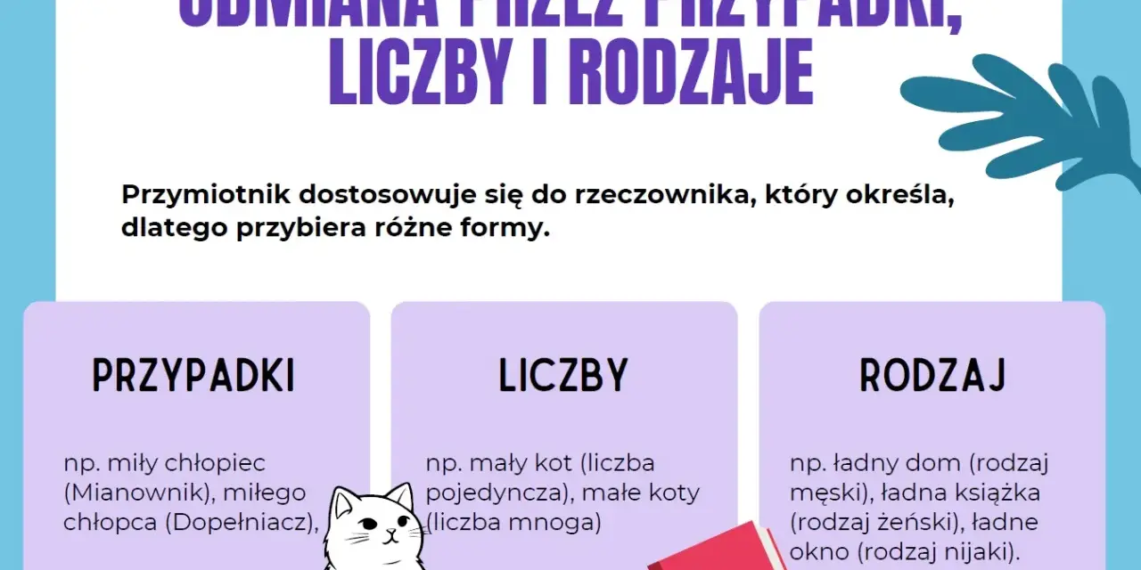 Grafika wyjaśnia odmianę przymiotnika przez przypadki, liczby i rodzaje. Pokazuje, jak przymiotnik dopasowuje się do rzeczownika, przybierając różne formy.