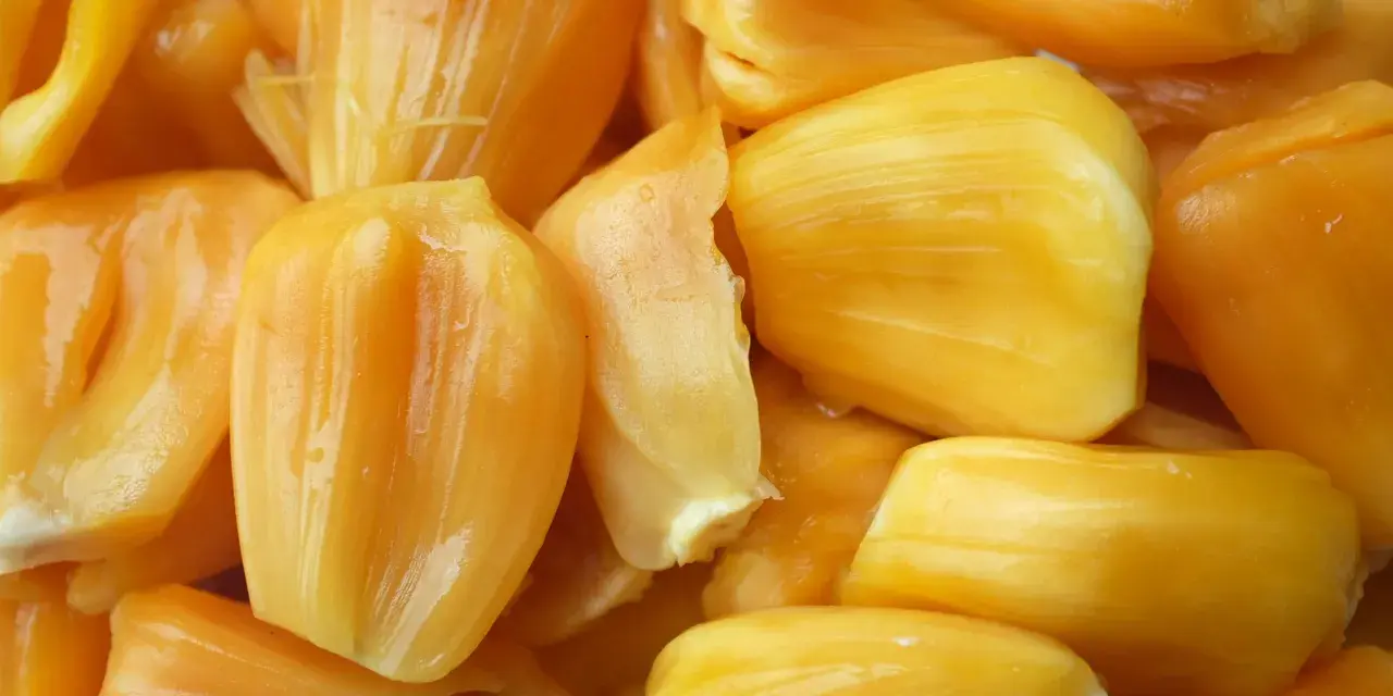 Żółte, soczyste segmenty owocu jackfruit, który to? Wyglądają apetycznie!