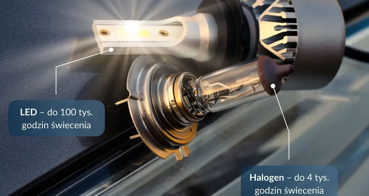 Porównanie żarówki LED i halogenowej. Halogen świeci do 4 tys. godzin, LED nawet do 100 tys.