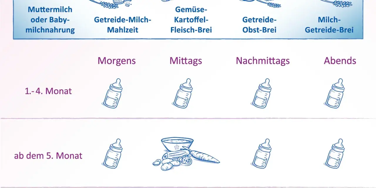 Ernährungsplan für Babys: Muttermilch, Brei (Gemüse, Obst) und Milch-Getreide-Brei für verschiedene Monate und Tageszeiten.