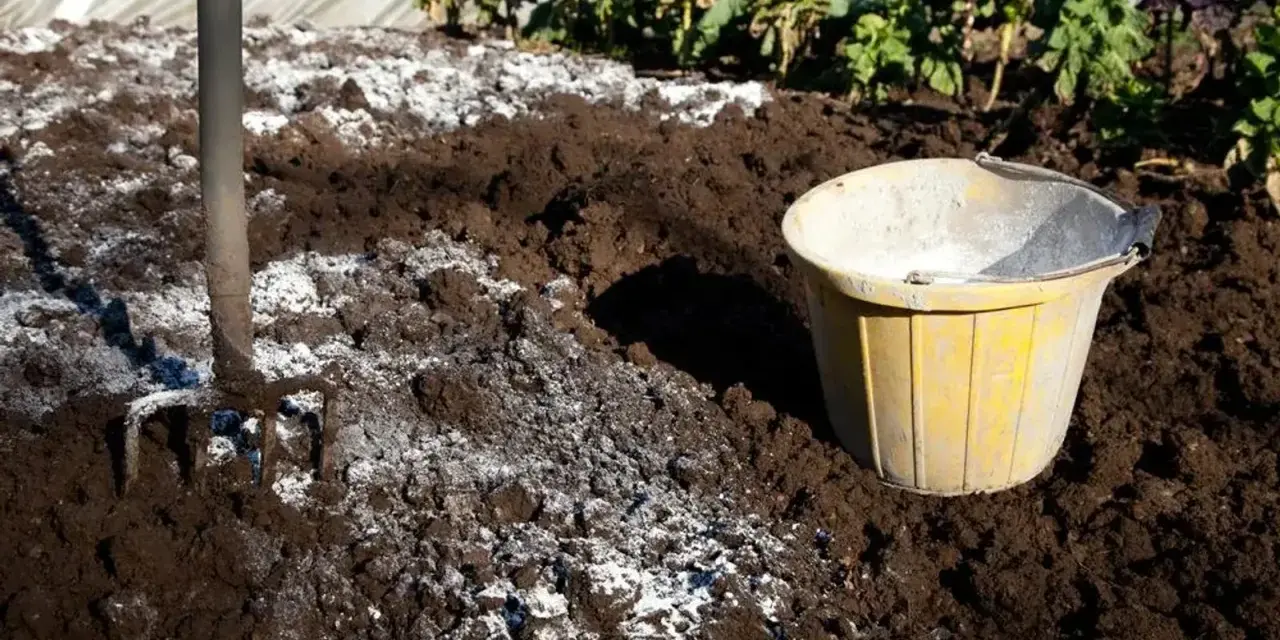 Kiedy sypać wapno na działkę, aby poprawić jakość gleby?