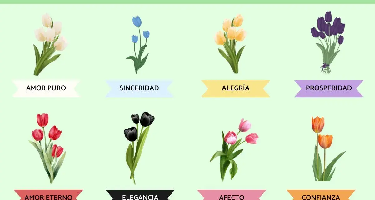 Tulipanes y su significado por color: blancos (amor puro), azules (sinceridad), amarillos (alegría), morados (prosperidad), rojos (amor eterno), negros (elegancia), rosas (afecto) y naranjas (confianza).