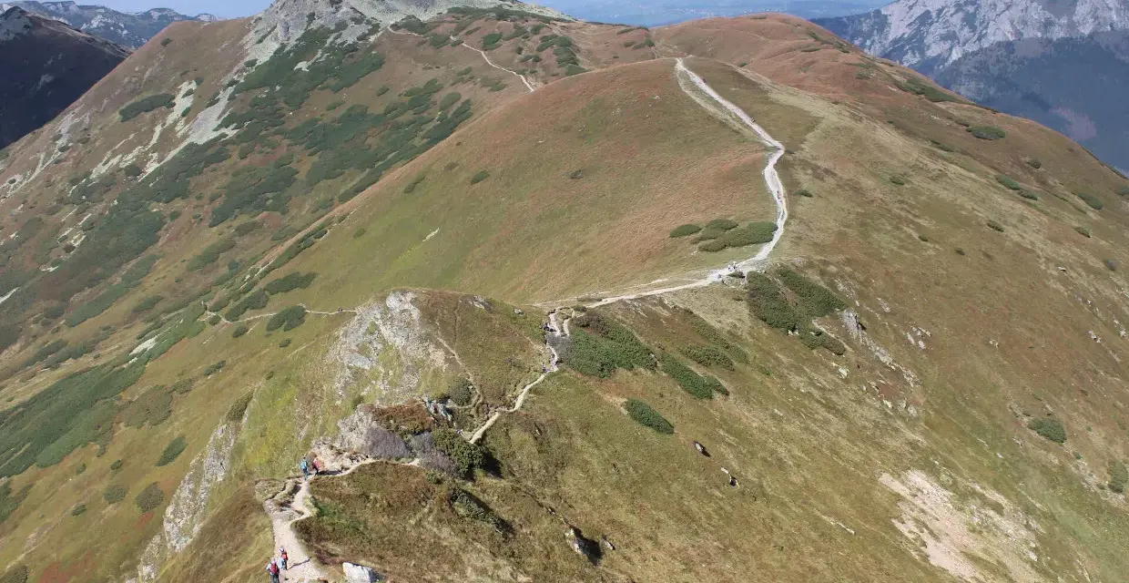 Szlak turystyczny wije się po zboczach Starorobociańskiego Wierchu, otoczony trawami i kosodrzewiną.