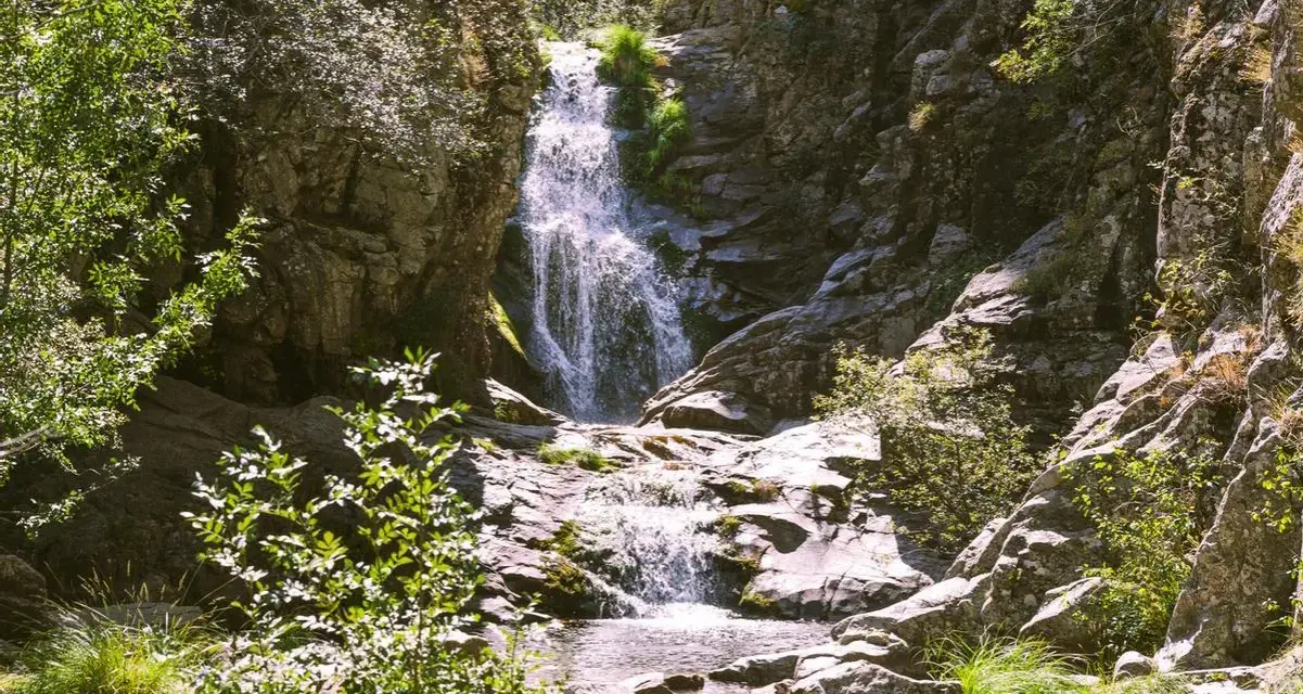 Cascada en un bosque frondoso, un ejemplo de los impresionantes espacios naturales de España.