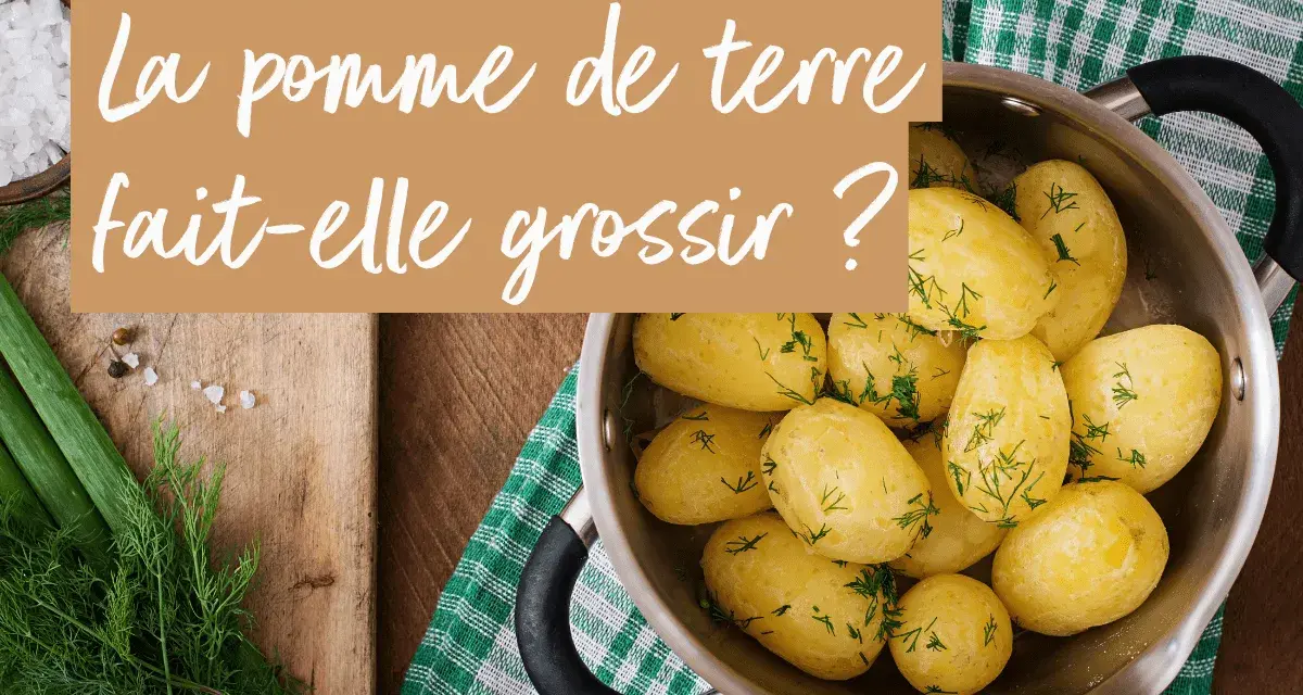 Un bol de pommes de terre cuites, parsemées d'aneth, pose la question : les pommes de terre font elles grossir ?