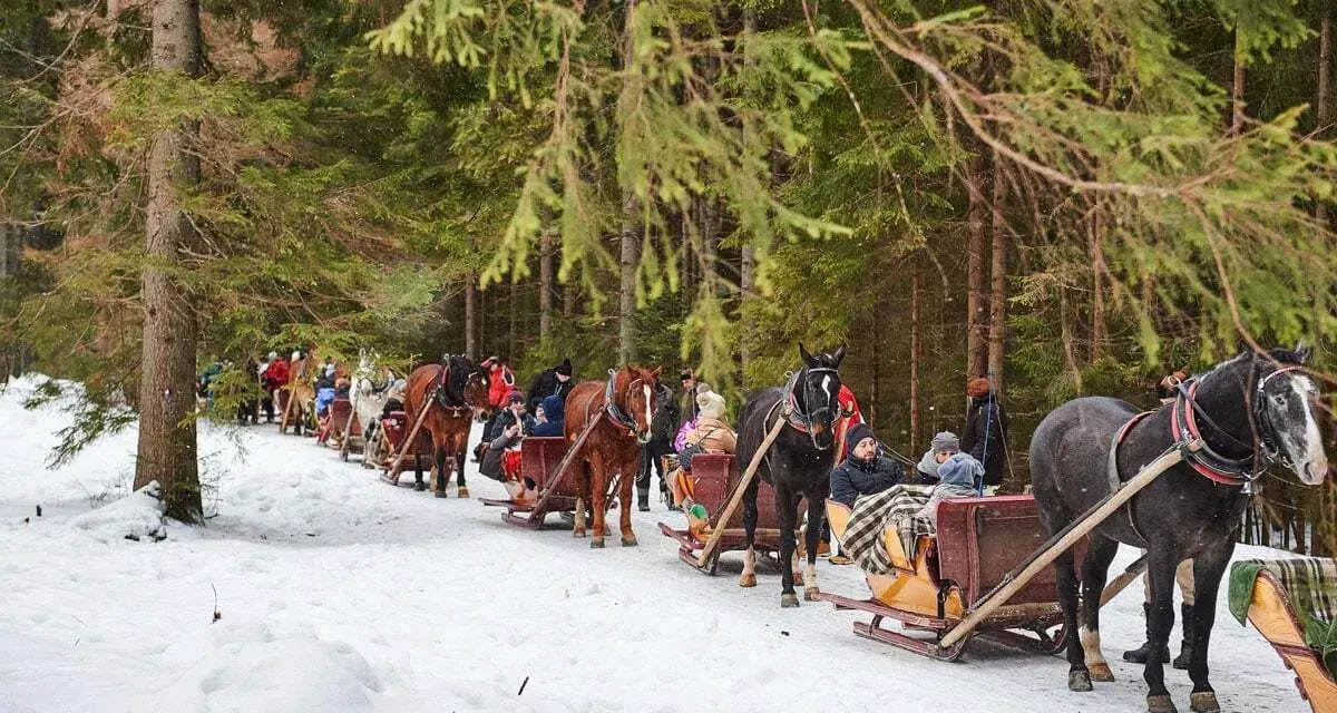 Kuligi Bukowina Tatrzańska - Przeżyj niezapomniane chwile w Tatrach