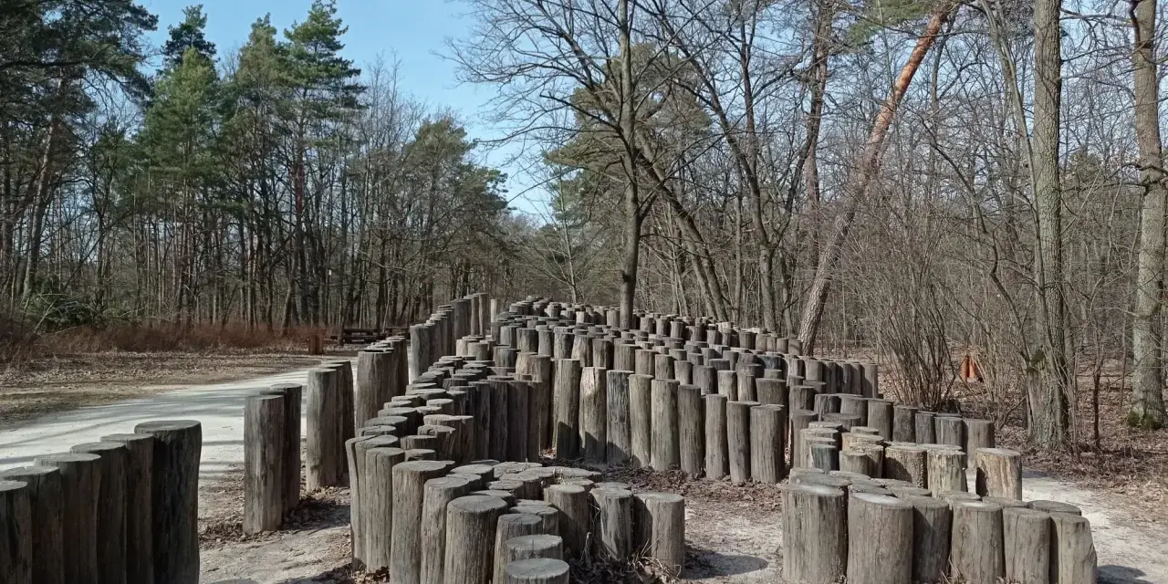 Drewniana instalacja artystyczna w lesie nad rzeką Świdrem. Kręte ścieżki z pni drzew tworzą labirynt.