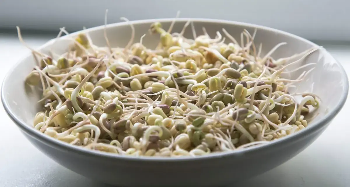Una ciotola piena di germogli di soia freschi e croccanti, pronti per insalate o piatti saltati in padella.