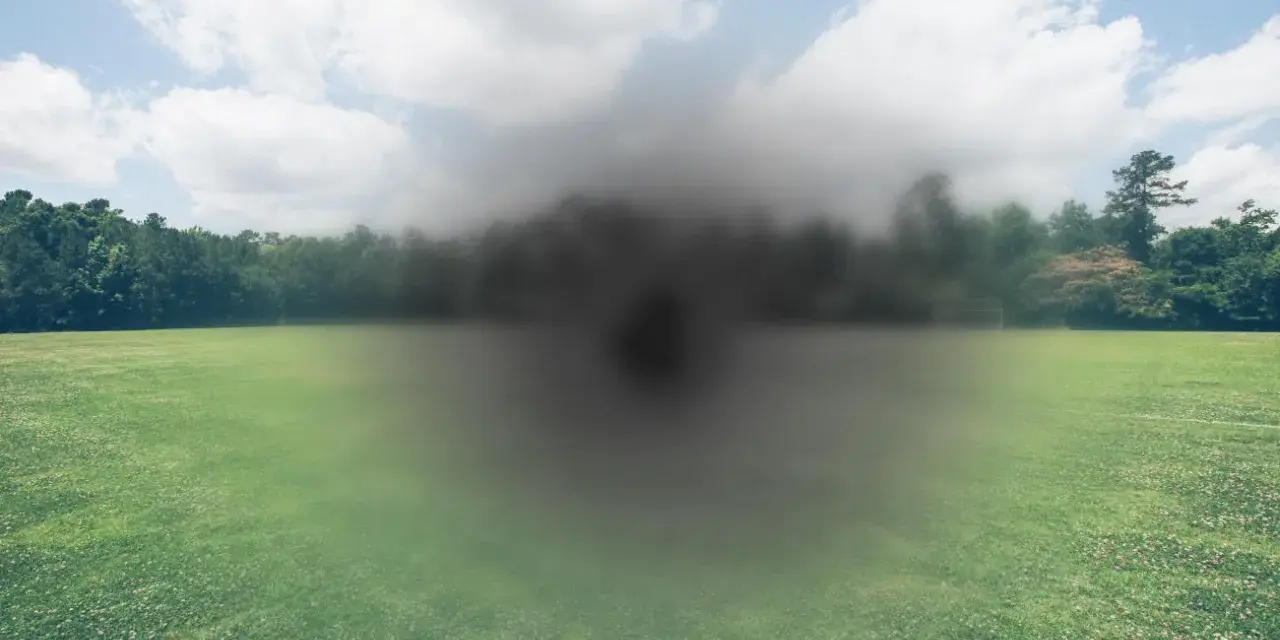 Campo verde con alberi sullo sfondo, oscurato da un'ombra centrale che simula un **foro maculare**.