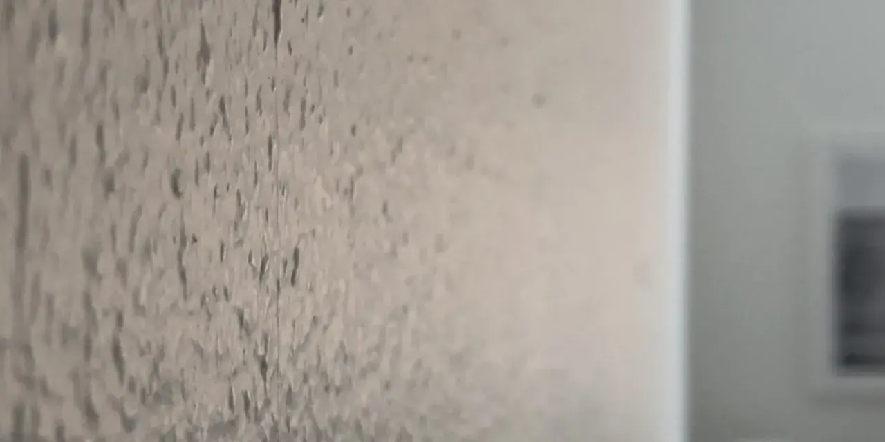 Närbild på en vägg med en grov textur, som om någon har valt att bredspackla strukturtapet för att skapa en unik yta.