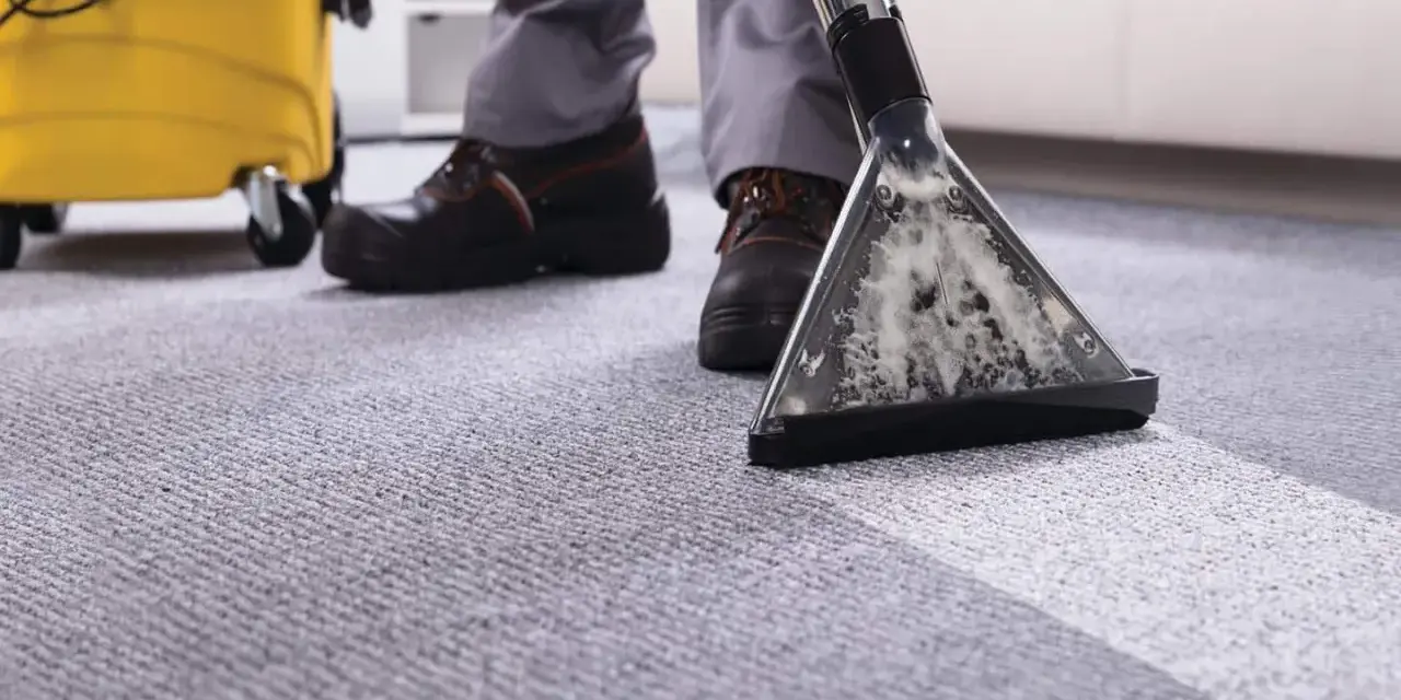A person demonstrates how to clean a carpet using a professional carpet cleaner, leaving a fresh, clean path.