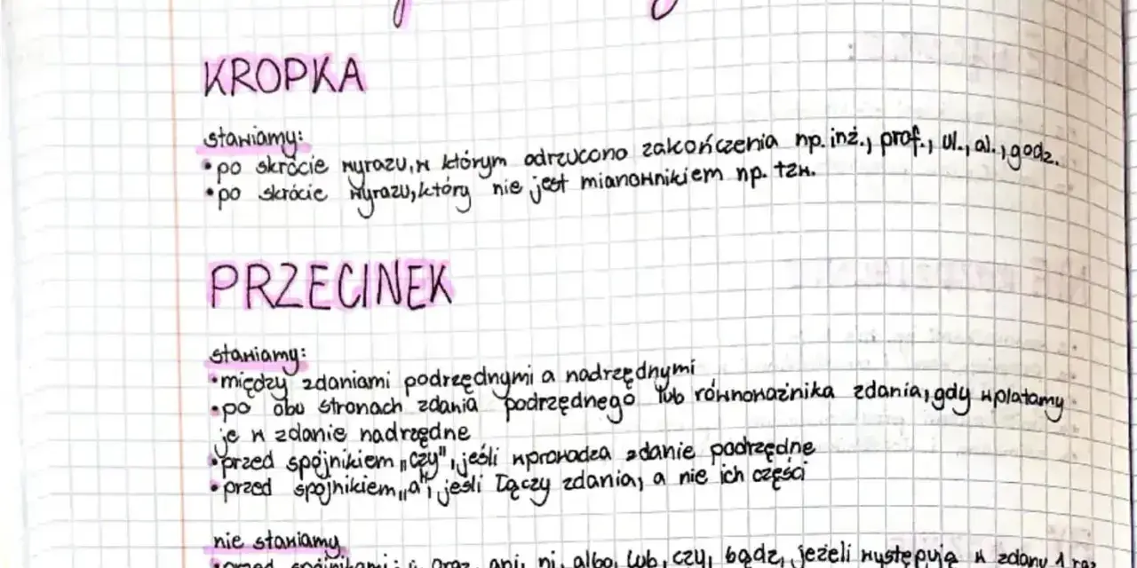Notatki o interpunkcji: kropka po skrótach, przecinek robi różnicę między zdaniami i po niektórych spójnikach.
