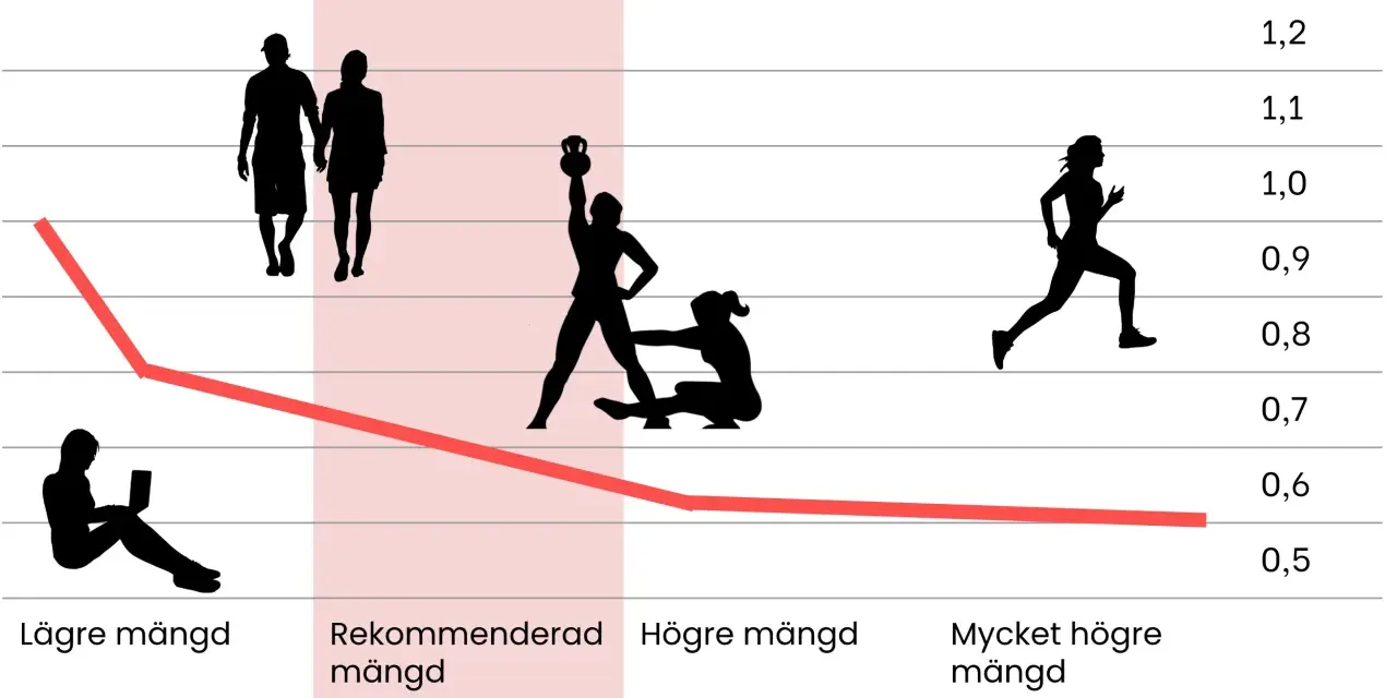 Graf visar hur en aktiv livsstil, som helkroppspass 2 gånger i veckan, kan påverka olika mått. Från lägre mängd till mycket högre mängd.