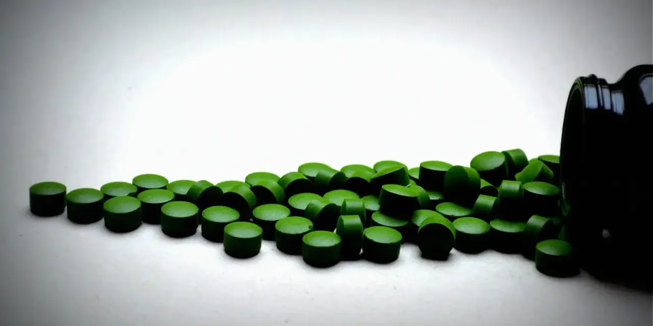Zielone tabletki chlorelli rozsypane z czarnego pojemnika. Kiedy je brać: chlorella rano czy wieczorem?