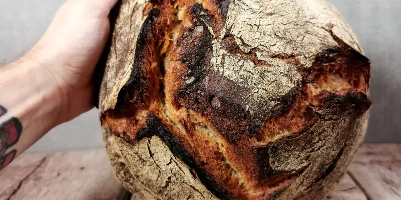 Hand hält ein knuspriges Sauerteigbrot. Die Kruste ist dunkelbraun und rissig. Was ist Brotmehl? Es ist die Grundlage für dieses köstliche Gebäck.