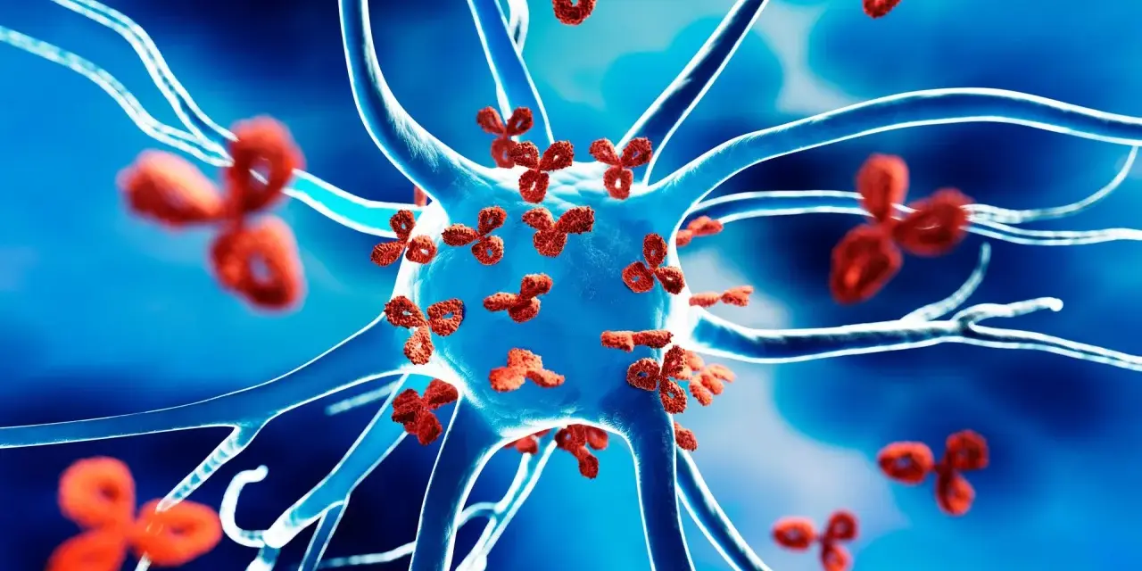 Czerwone przeciwciała atakują neuron, ilustrując mechanizm chorób autoimmunologicznych.