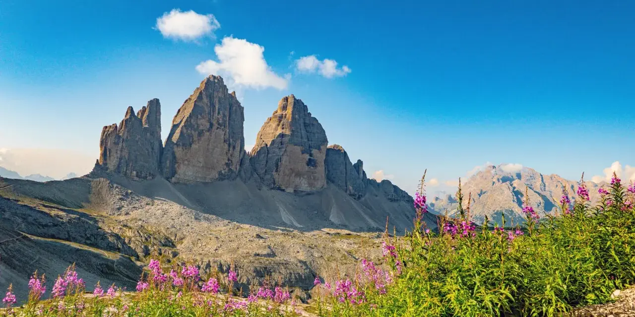 Tre Cime di Lavaredo maestose, fiori viola in primo piano. Un invito a scoprire gli **itinerari Dolomiti** più suggestivi.