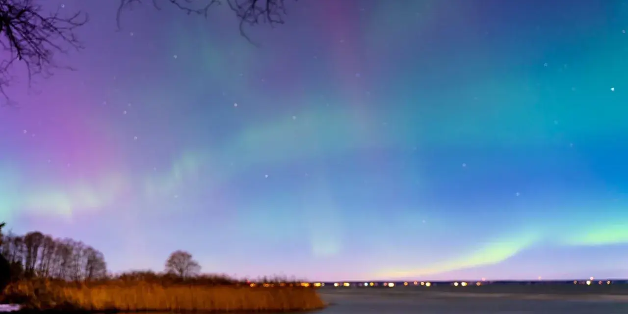 En magisk norrsken resa i Sverige. Aurora Borealis dansar över en sjö med träd och vass i förgrunden.