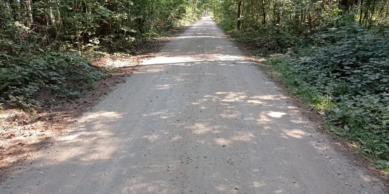 Piękna, piaszczysta trasa w lesie, idealna na spacer. Słońce przebija się przez liście, tworząc cień na drodze. Białogóra zachwyca o każdej porze roku.